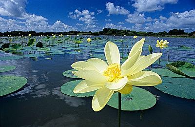像素风基地建造塔防游戏《字节战争》现已登录Steam平台