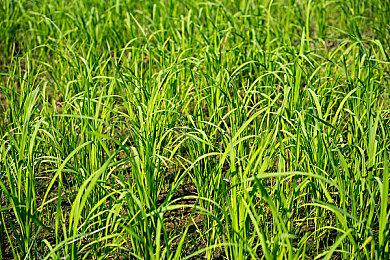 《架空地图模拟器》登陆Steam 虚构世界创建模拟