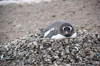 《永劫无间》更新直面会，海量重磅“情报”发布！